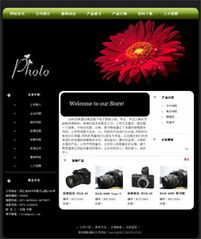 全景呈现精品企业风采 数码摄影器材公司网站建设全攻略